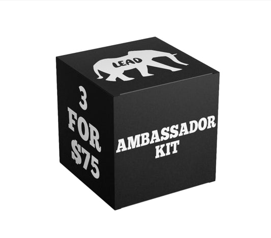 Ambassador  MYSTERY Kit (3 Items
